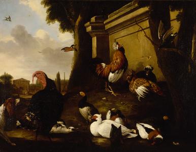 Fowls in a Garden