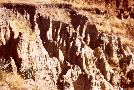 Close-up View of Erosion of a Gully