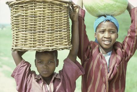 People of South Africa : boy with basket