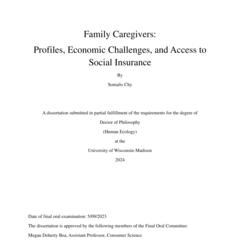 Family Caregivers: Profiles, Economic Challenges, and Access to Social Insurance