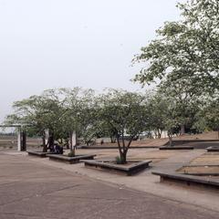 Trees on the Obafemi Awolowo University campus