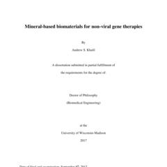 Mineral-based biomaterials for non-viral gene therapies