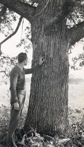Examining a tree