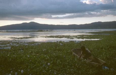 Water hyacinth, boy in dugout, on Lago Patzcuaro