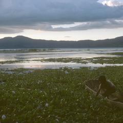 Water hyacinth, boy in dugout, on Lago Patzcuaro