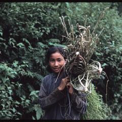 Ban Pha Khao : girl with sticks