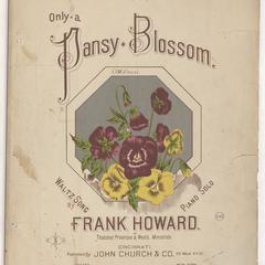 Only a pansy blossom