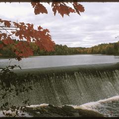 Dam and lake on the Hanson Property