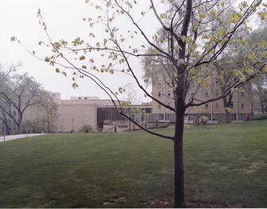 Former Law School building