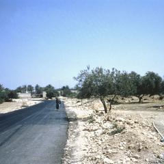 Main Country Road Leaving to Dahman