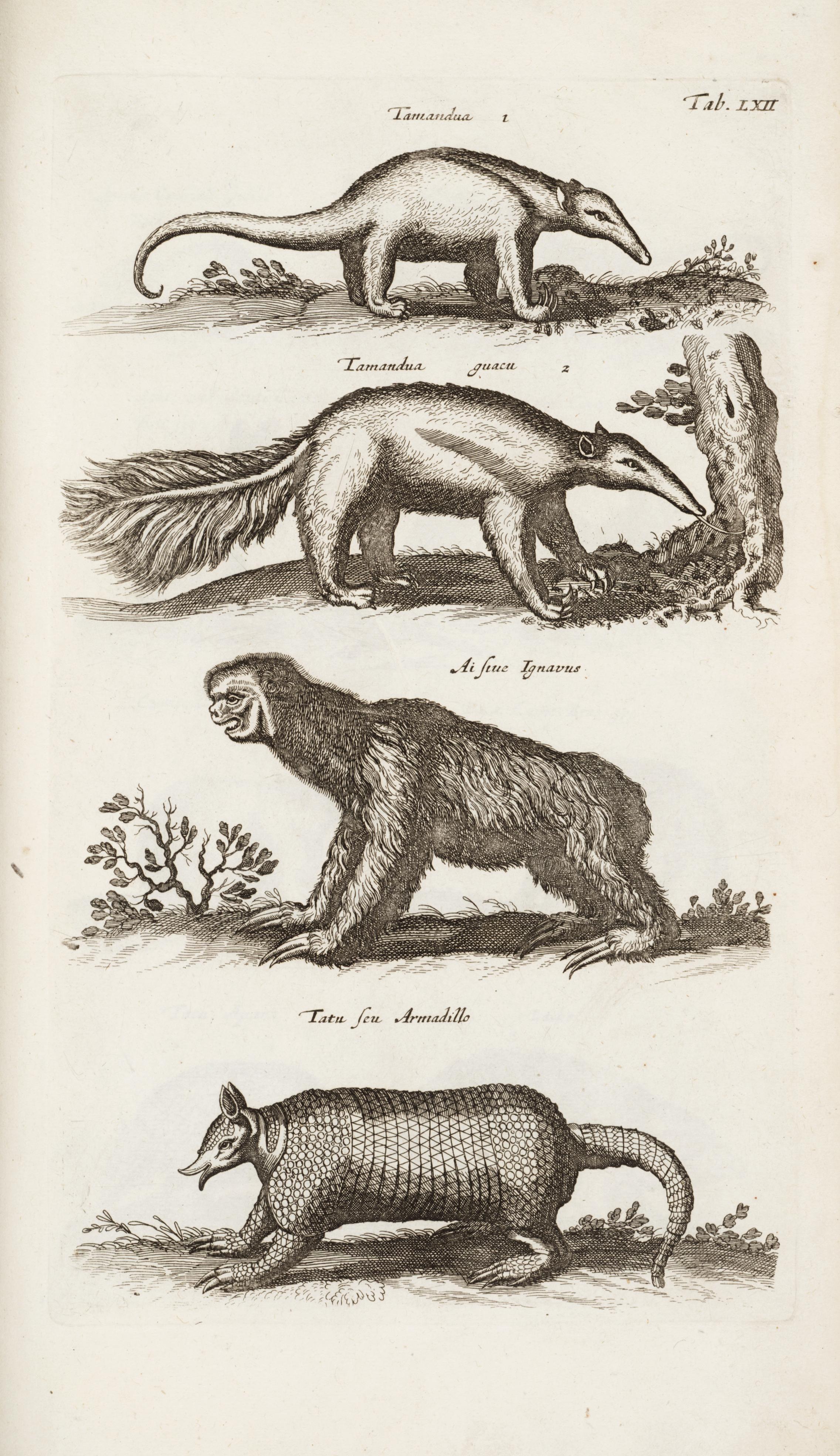 A description of the nature of four-footed beasts : with their figures ...