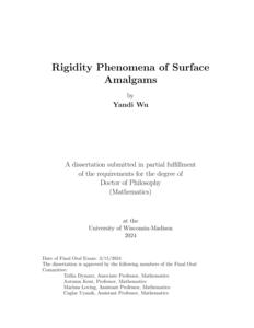 Rigidity Phenomena of Surface Amalgams