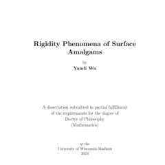 Rigidity Phenomena of Surface Amalgams