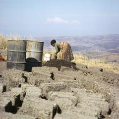 Southern Africa : Domestic Activities : building a house, drying bricks
