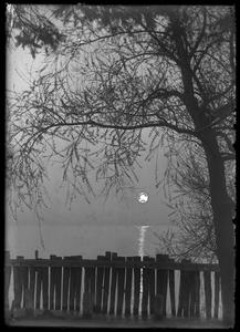 Kemper Hall - moonlight under the willows