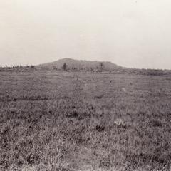 North Mound