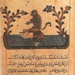 Illustration for The Monkey and the Tortoise from the "Kalila Wa Dimna"