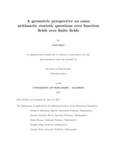 A geometric perspective on some arithmetic statistic questions over function fields over finite fields