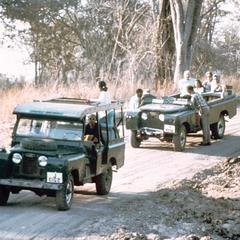 In Jeeps on Safari