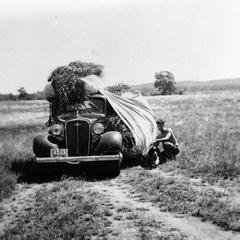 Carl Leopold with hay for bedding on top of car