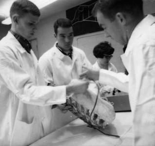 Men examining lab equipment