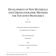 Development of new materials and chromatographic methods for top-down proteomics