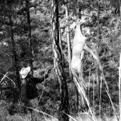 Starker Leopold with deer in Mexico
