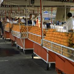 Orange Juice Sellers on Djemaa el-Fna Square, Marrakech