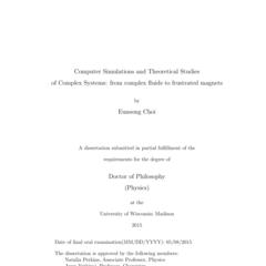 Computer Simulations and Theoretical Studies of Complex Systems: from complex fluids to frustrated magnets