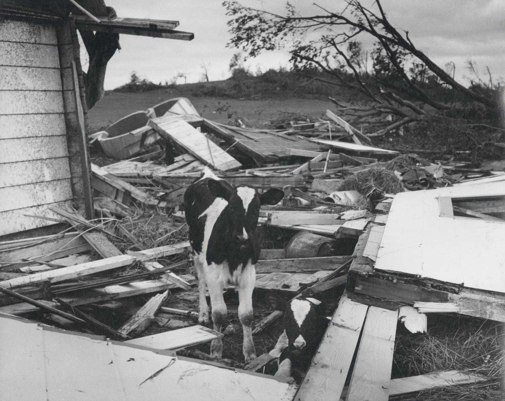 ‎Aftermath of the 1958 Colfax tornado UWDC UWMadison Libraries
