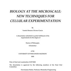 BIOLOGY AT THE MICROSCALE: NEW TECHNIQUES FOR CELLULAR EXPERIMENTATION