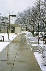 Sidewalk to the Fieldhouse