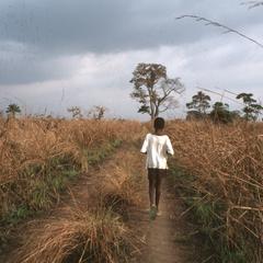 Kukuya Plateaux near Lekana in central Congo