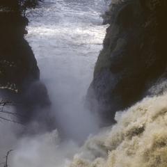 Uganda : Murchison Falls