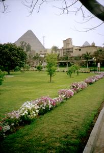 View of Giza Pyramid from Grounds of Mena House Oberoi Hotel