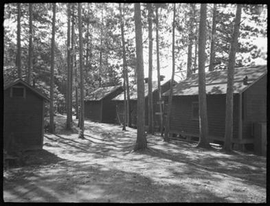 Trout Lake cabins among the forest