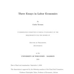 Three Essays in Labor Economics