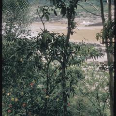 Overlooking the Mekong River