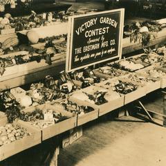 Victory garden contest at Manitowoc County Fair