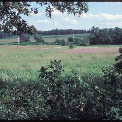 South, southeast view of Henry Greene Prairie, University of Wisconsin Arboretum
