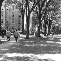 View of students walking up Bascom Hill