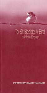 To sit beside a bird is infinite enough : poems