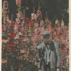Stephen Babcock and his hollyhocks