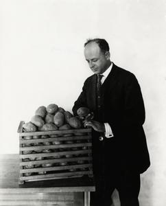 James G. Milward holding potatoes