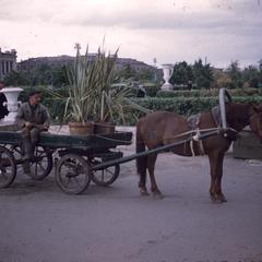Man sitting on a horse-drawn wagon