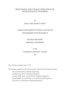 Processing and Characterization of Polyethylene Vitrimers