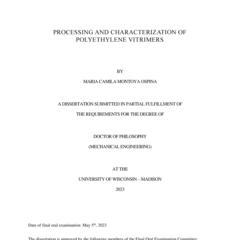 Processing and Characterization of Polyethylene Vitrimers