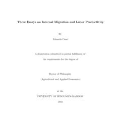 Three Essays on Internal Migration and Labor Productivity