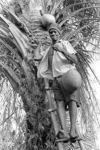 Posing Palm Wine Tapper Exchanging Containers