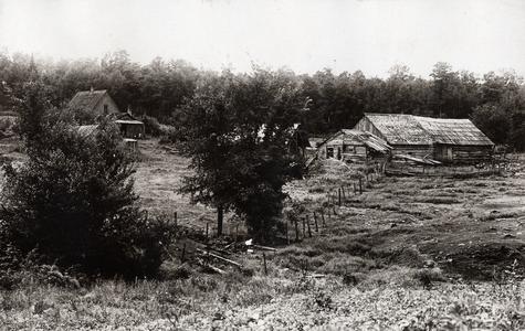 Olson's farm